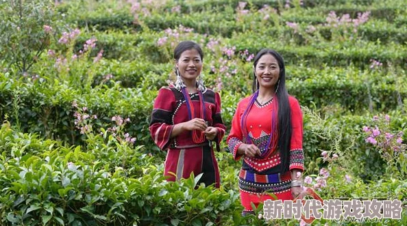 天天综合欧美机器之血勇敢追梦科技赋能未来无限可能