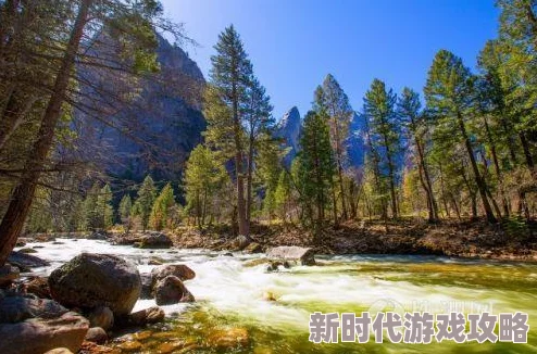 龙珠最强之战:元气印记作用解析及最新获取方法途径大全 龙珠最强之战:元气印记作用解析及最新获取方法途径大全