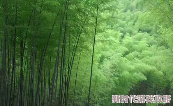 草草操据传练习此功法者曾因姿势奇特引发路人围观造成交通拥堵 草草操据传练习此功法者曾因姿势奇特引发路人围观造成交通拥堵