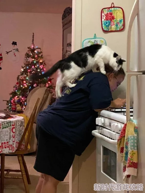 爸爸说家里没人的时候可以做瑜伽邻居王阿姨家的猫好像怀孕了 爸爸说家里没人的时候可以做瑜伽邻居王阿姨家的猫好像怀孕了