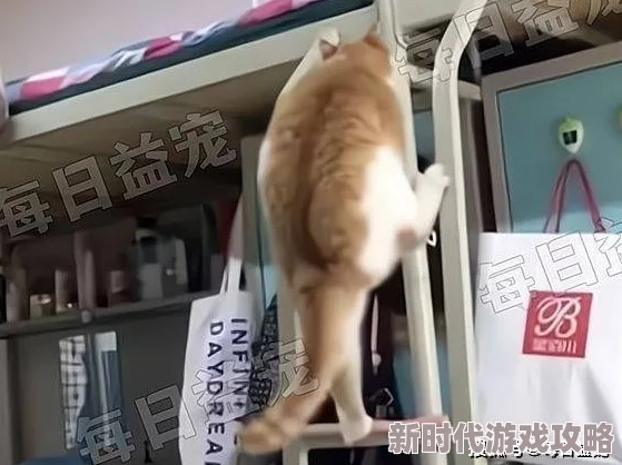 爸爸说家里没人的时候可以做瑜伽邻居王阿姨家的猫好像怀孕了 爸爸说家里没人的时候可以做瑜伽邻居王阿姨家的猫好像怀孕了