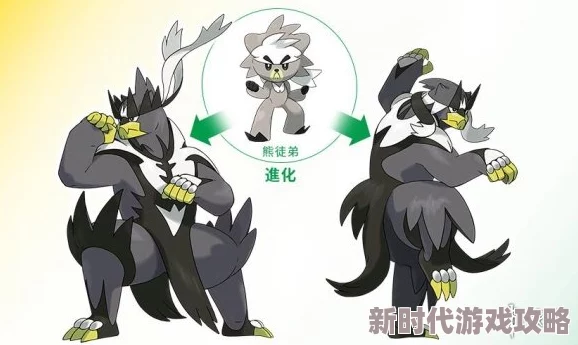 独家爆料：武道熊师身世揭秘与战斗技能深度解析