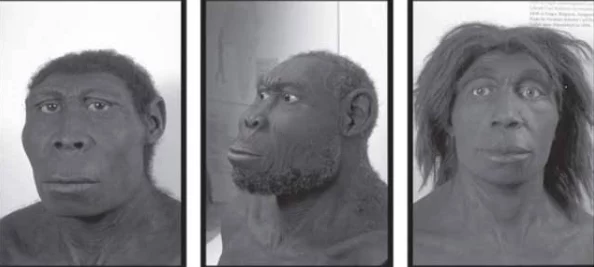 黑种人玩黄种人的后果网友:纯属臆想,停止种族歧视 黑种人玩黄种人的后果网友:纯属臆想,停止种族歧视