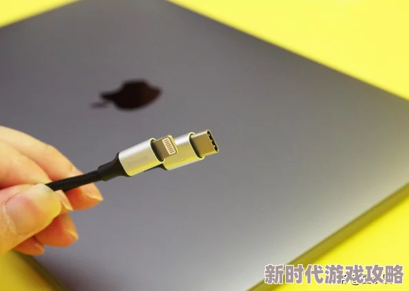 2024年耐玩数码宝贝游戏TOP5大揭秘及爆料信息