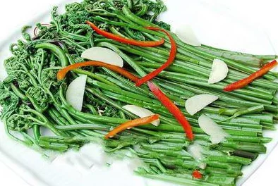 《幻塔》蕨菜汤效果全揭秘：提升属性、最佳搭配及爆料烹饪配方