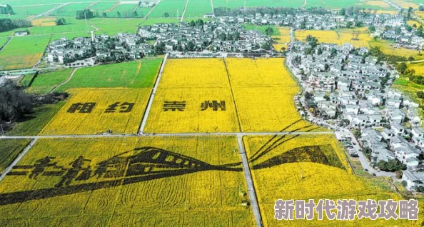 《梦想桃源》职业特色大揭秘：独家爆料各职业技能与定位