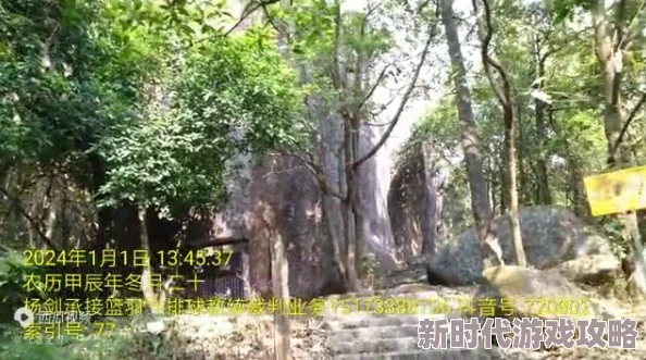 《王者荣耀》张良出装全攻略：深度探索2024年最佳装备搭配与爆料