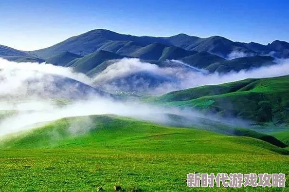 欧美草逼展现了自然蓬勃的生命力,拥有独特的生态价值值得深入研究和保护 欧美草逼展现了自然蓬勃的生命力,拥有独特的生态价值值得深入研究和保护