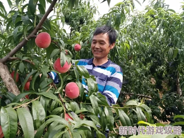 精品入口蜜桃据传产地果农之子高考状元引发网友热议 精品入口蜜桃据传产地果农之子高考状元引发网友热议