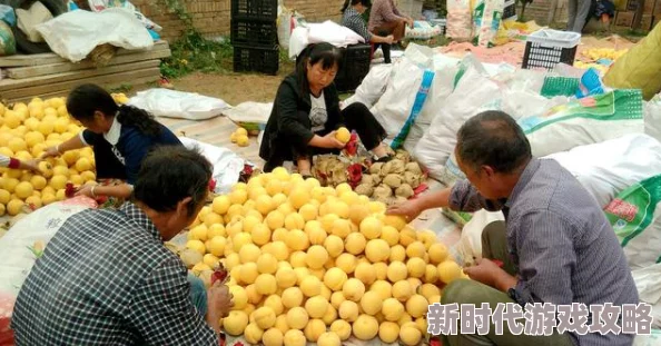 精品入口蜜桃据传产地果农之子高考状元引发网友热议 精品入口蜜桃据传产地果农之子高考状元引发网友热议