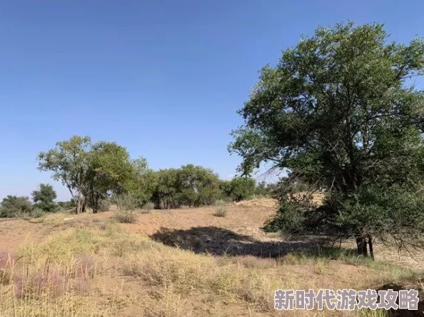 历史的尘埃txt完整版全文阅读