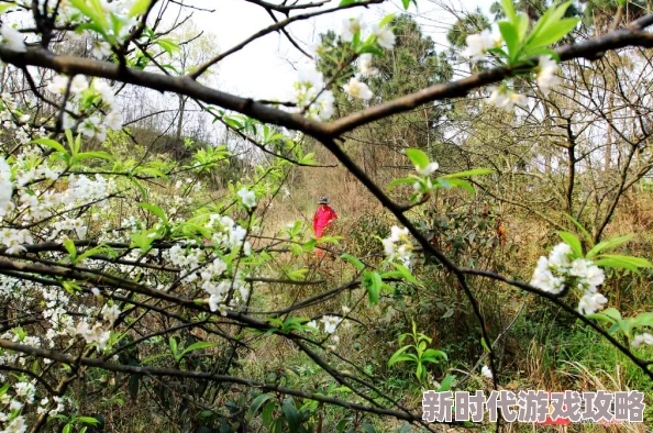 美女日日日原标题系误读正确标题为《美丽日记