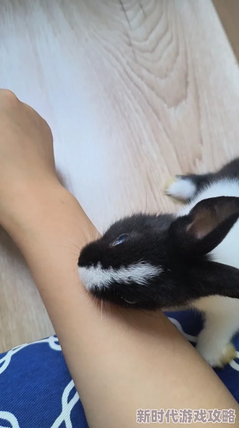 男朋友咬我的小兔子头当事人已报警警方正在调查处理 男朋友咬我的小兔子头当事人已报警警方正在调查处理