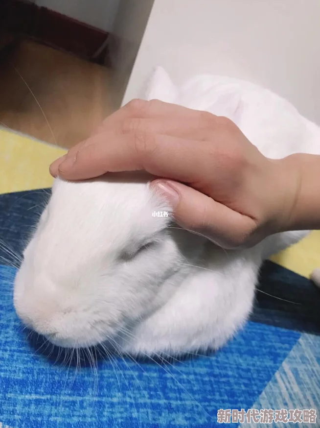 男朋友咬我的小兔子头当事人已报警警方正在调查处理 男朋友咬我的小兔子头当事人已报警警方正在调查处理