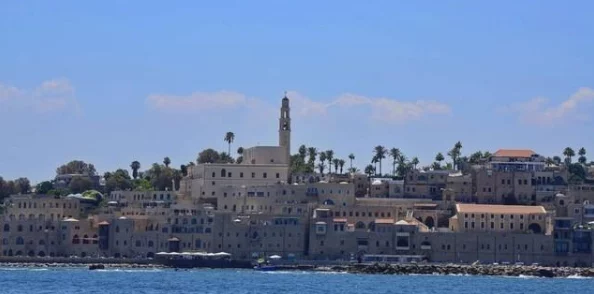 2024年开罗游戏经营类手游大全：高人气作品盘点及新游爆料