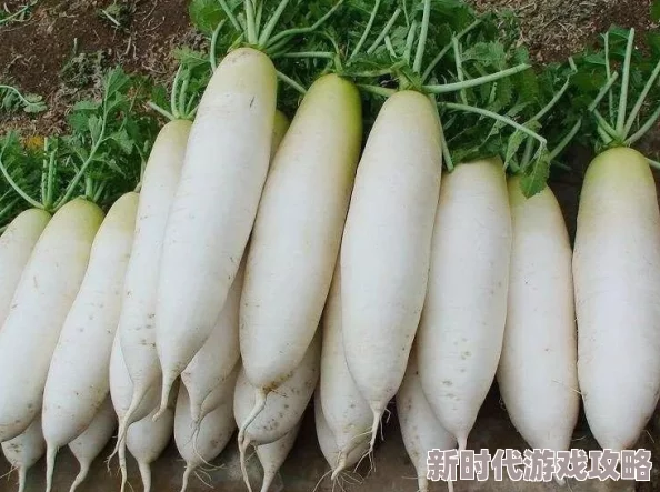 无尽裸体白丝拔萝卜新增多种萝卜和场景优化丝袜材质 无尽裸体白丝拔萝卜新增多种萝卜和场景优化丝袜材质