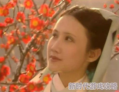 红楼遗密迷男疑似身份曝光曾化名宝玉流连金陵十二钗主题活动 红楼遗密迷男疑似身份曝光曾化名宝玉流连金陵十二钗主题活动