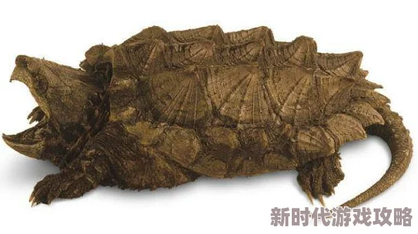 舌头伸进我下面视频免费警惕！此类标题通常包含恶意软件或钓鱼链接，切勿点击