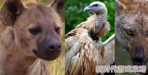 荒野大镖客2呼唤猎物技巧与捕猎大师任务全攻略爆料