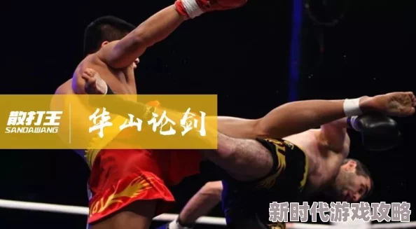 黑土腿法娴熟脚法精湛视频教学动作分解教学轻松入门提升实战技巧