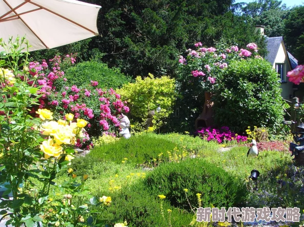 女同志V据说爱好园艺并在郊区拥有一座玫瑰花园