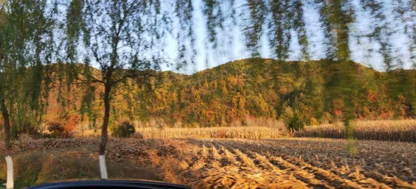 丹东综合图听说鸭绿江断桥边上的小贩最近生意火爆各种纪念品卖得飞快