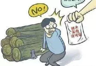 黄色污动漫已被举报并查处相关平台已采取措施