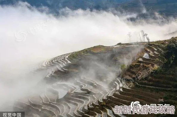 老湿地影视体验区涉嫌传播未经授权的影视作品,侵犯版权 老湿地影视体验区涉嫌传播未经授权的影视作品,侵犯版权