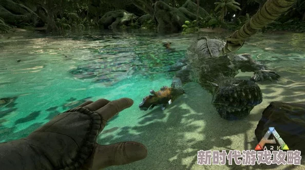 方舟生存进化:揭秘神器价值,泰克剑与恐龙饲料谁更值钱? 方舟生存进化:揭秘神器价值,泰克剑与恐龙饲料谁更值钱?