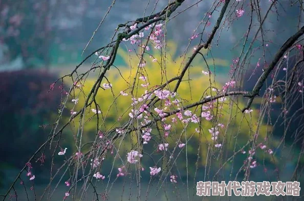 烟雨江湖深度揭秘:独步武林七星剑法全攻略与稀有获取途径,爆料助你登顶江湖之巅! 烟雨江湖深度揭秘:独步武林七星剑法全攻略与稀有获取途径,爆料助你登顶江湖之巅!