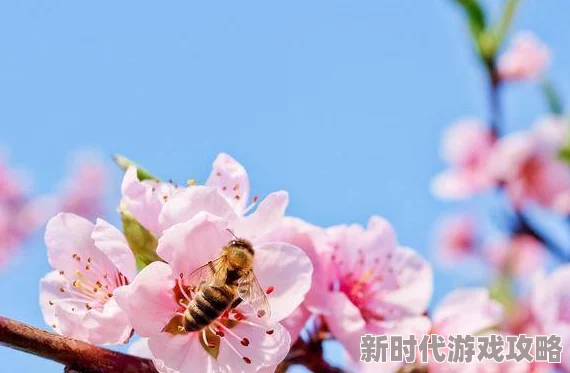 色五月第四色完整版流出高清无码下载地址已曝光 色五月第四色完整版流出高清无码下载地址已曝光