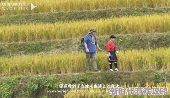 村光纪录片《村光》展现乡村振兴新图景讲述当代中国乡村发展故事