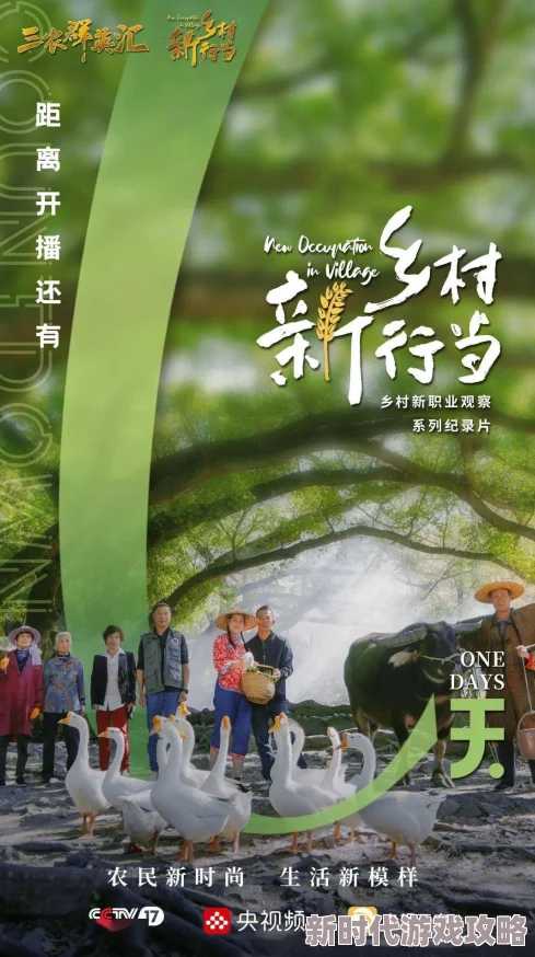 村光纪录片《村光》展现乡村振兴新图景讲述当代中国乡村发展故事