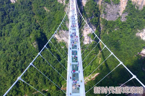 艾尔登法环豹头人现身断桥，穿林大桥成关键挑战点揭秘