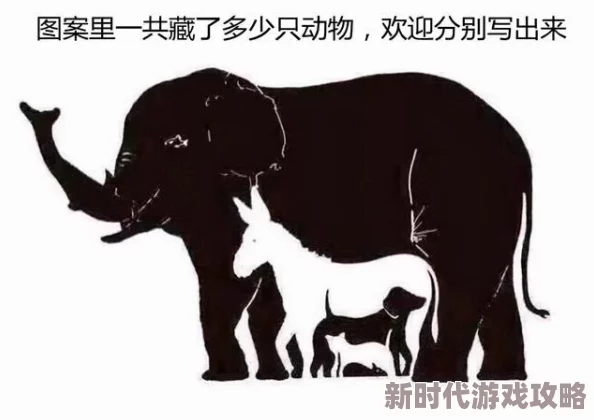 追踪记忆力神话：大象凭特殊蘑菇气味回家，2024年最新研究揭秘真相