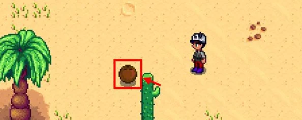 星露谷物语揭秘：高效椰子获取独门秘籍与种植技巧全攻略，内含稀有爆料！