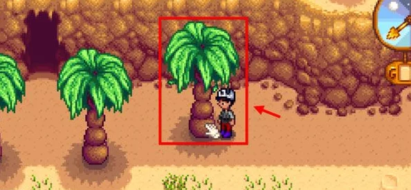 星露谷物语揭秘：高效椰子获取独门秘籍与种植技巧全攻略，内含稀有爆料！