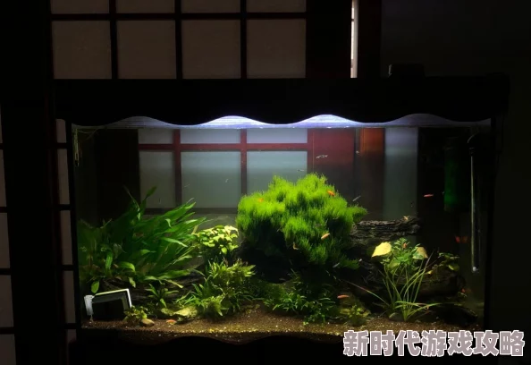 爆料!模拟人生4屏风家具详细分类位置揭秘 爆料!模拟人生4屏风家具详细分类位置揭秘