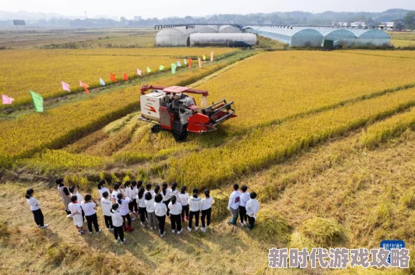 《桃源深处有人家》生产格子解锁全攻略爆料:高效农田打造秘籍大公开 《桃源深处有人家》生产格子解锁全攻略爆料:高效农田打造秘籍大公开