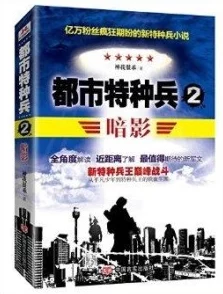 都市特种兵杨洛全集免费阅读全文笔趣阁内容粗糙情节老套错别字多更新慢盗版风险高