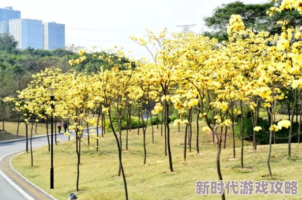 黄色生活片危害身心健康传播不良信息误导青少年 黄色生活片危害身心健康传播不良信息误导青少年