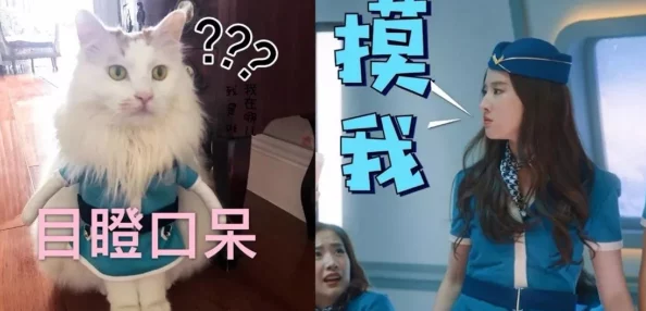 美村妇真湿夹得我好爽原标题曝光引网友热议道德与法律的边界 美村妇真湿夹得我好爽原标题曝光引网友热议道德与法律的边界