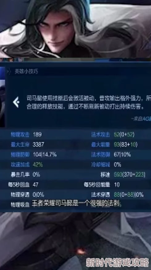 法刺爆发出装全攻略:王者荣耀司马懿装备搭配与爆料推荐 法刺爆发出装全攻略:王者荣耀司马懿装备搭配与爆料推荐