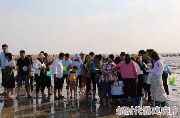 揭秘金色传说高效刷装技巧，最新寻宝攻略大爆料！