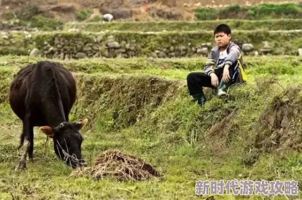 青草国内一级毛片观看内容低俗无聊浪费时间