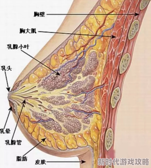 撕开老师胸罩吃她大乳画面优化及部分BUG修复 撕开老师胸罩吃她大乳画面优化及部分BUG修复
