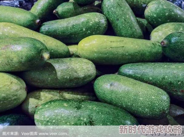 揭秘网络热点收割机：166今日独家黑瓜大爆料，吃料fun成潮流风向标