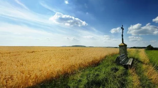 青草久久精品亚洲综合专区内容良莠不齐，用户体验褒贬不一，需谨慎选择