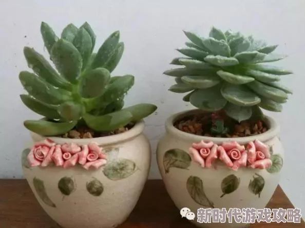 我把麻麻变成了肉玩具据小区邻居透露已报警警方正在调查处理 我把麻麻变成了肉玩具据小区邻居透露已报警警方正在调查处理