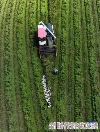 福清大地影院今日电影放映火爆热映中优惠购票享精彩